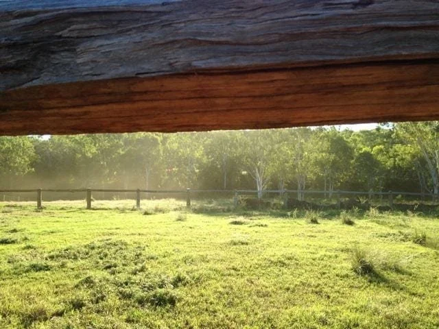 The top of a wooden fence looking under we see a lush green paddock