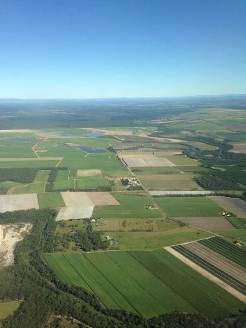 Sugar Cane crop photo taken out of a plane