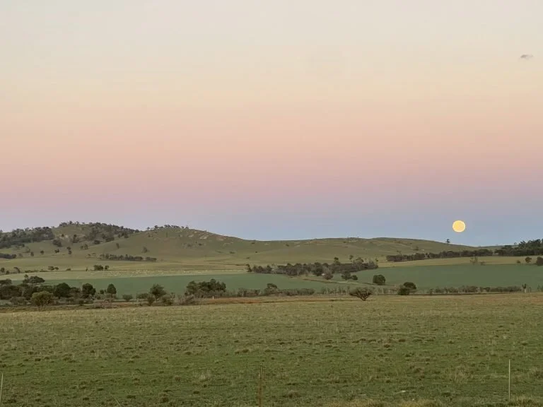 The sun setting over a green field