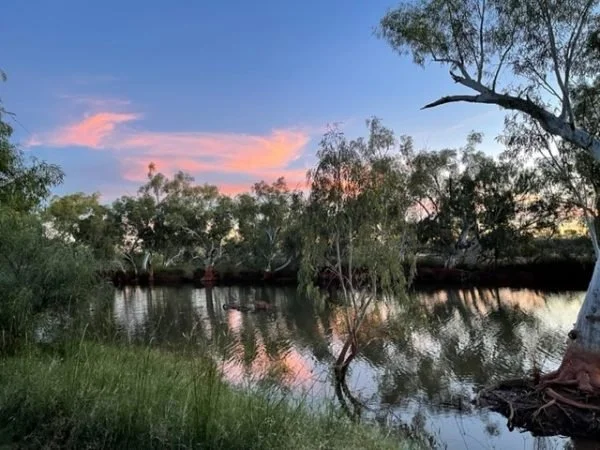 Creek surrounded by trees and the sky at dusk