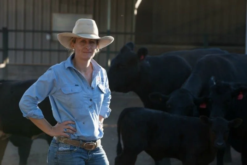 A woman stands in front of cows. She has an akubra on, blue shirt and jeans with her hands on her hips