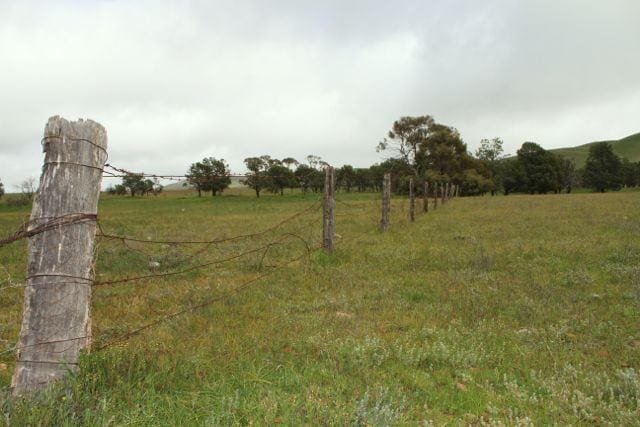 An old wire fence across a green field