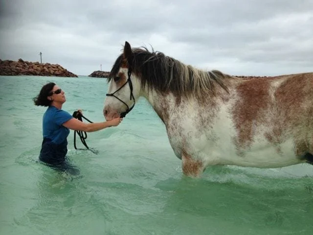 A woman stands in water with a horse