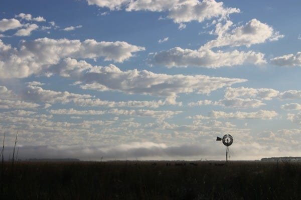 A blue sky FILLED with puffy white clouds