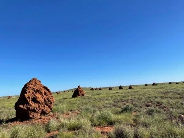 Blue skies and an open field with rocks