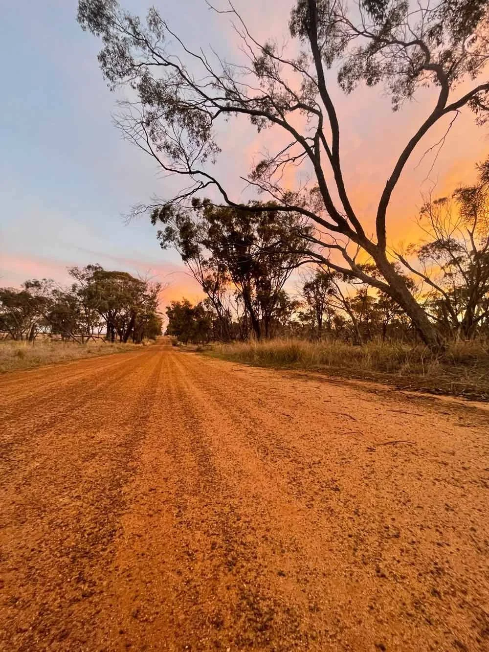 An open dirt road looking out to the horizon, the sky is coloured pink, orange and blue.