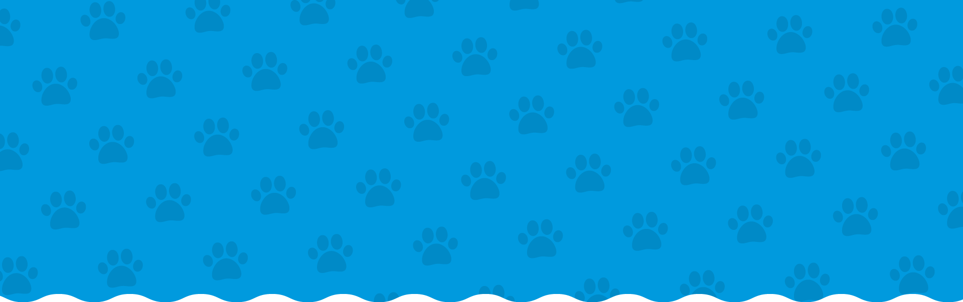 Blue background with a pattern of darker blue paw prints scattered throughout.