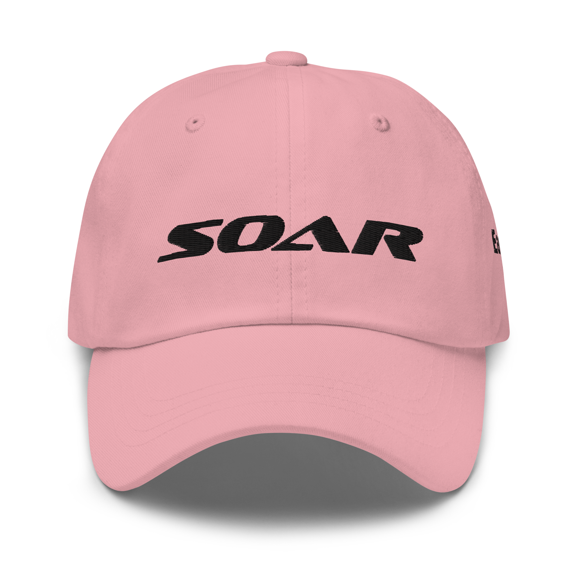 Earn Your Wings | Dad Hat