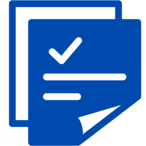 DVSA approved dual control systems meeting driving test standards