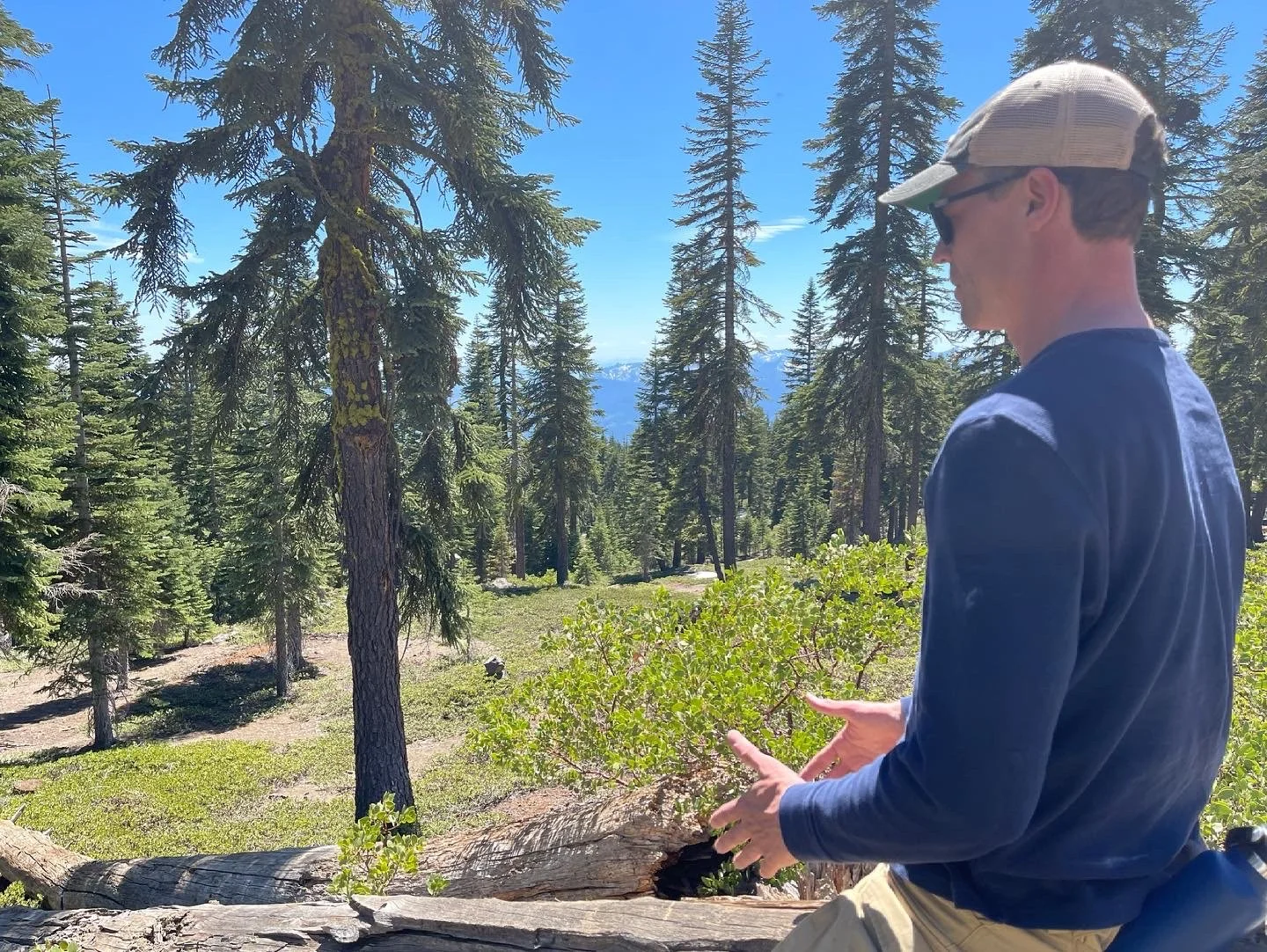 From Overwhelm to Aliveness: A Coach’s Perspective on Digital Detox