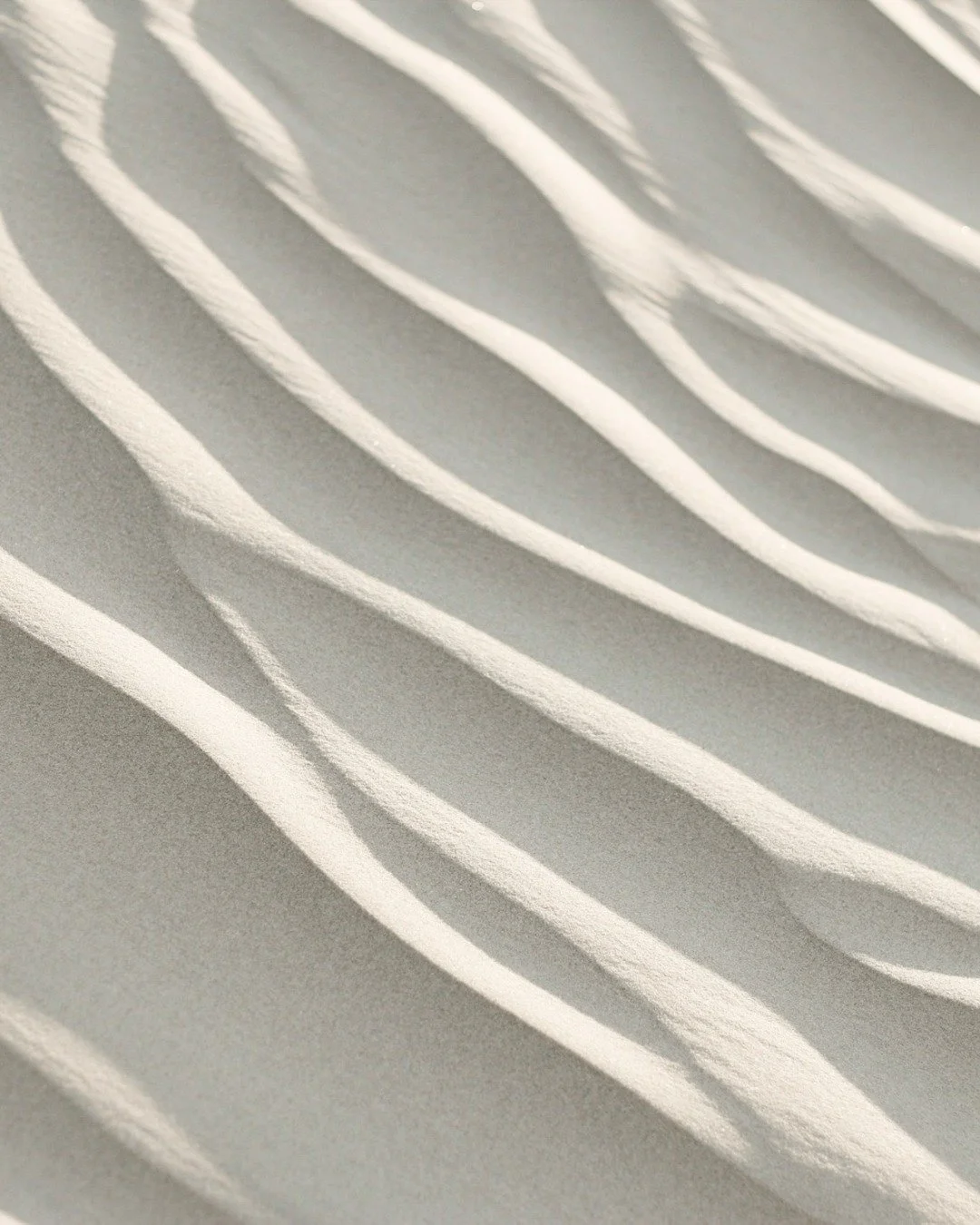 Branding, websites, and marketing - shaped with clarity and quiet confidence.

From brand foundations to digital spaces and ongoing creative direction, Harlo Studio helps businesses show up with intention.

Less noise. More nuance.