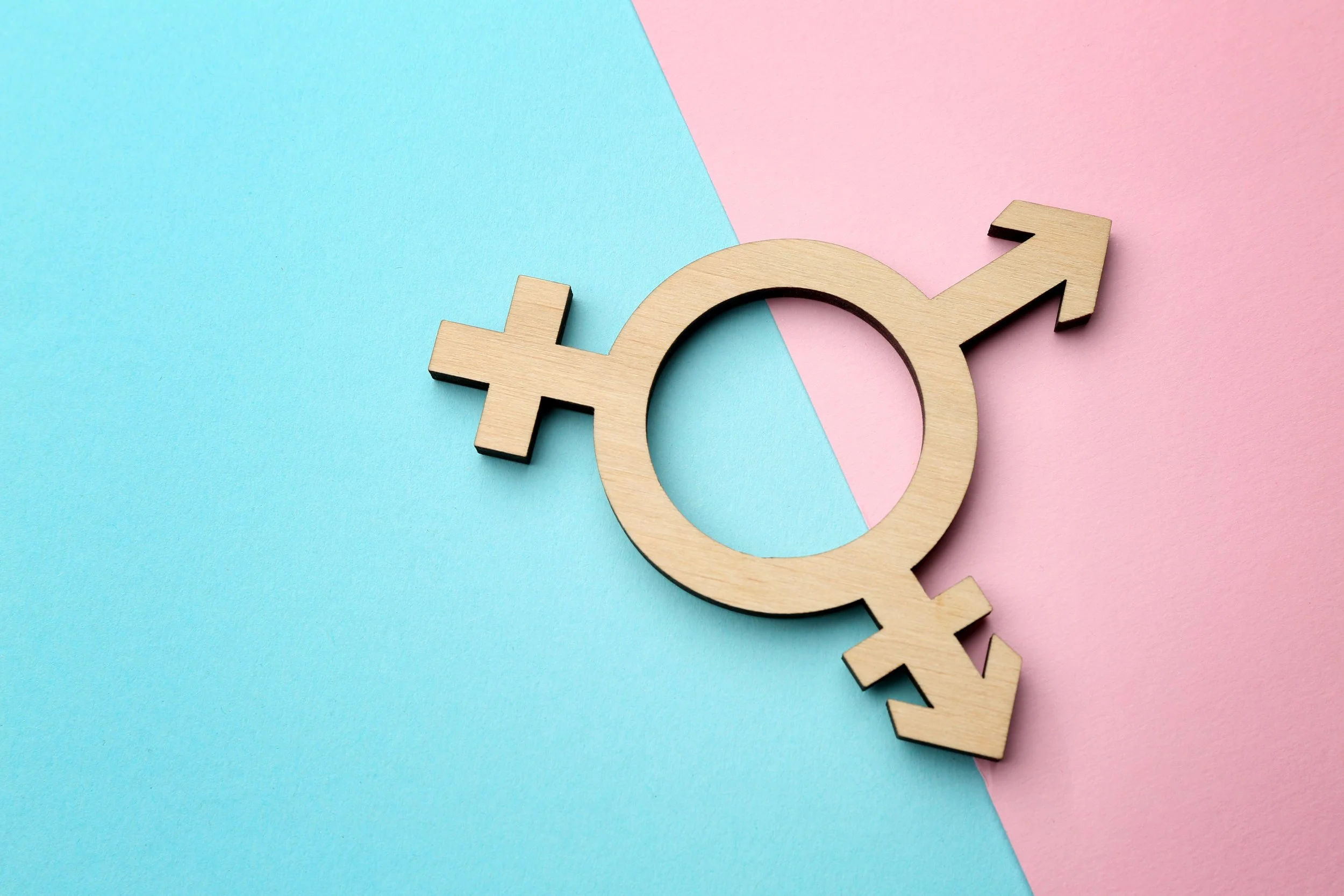 A wooden gender symbol combining male and female icons on a split pink and blue background.