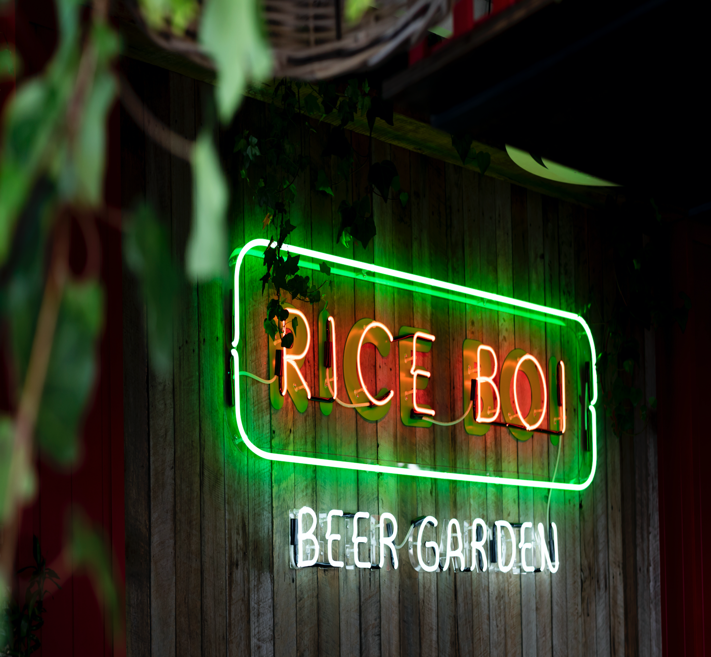 Rice-boi-bws-electrical-01.png