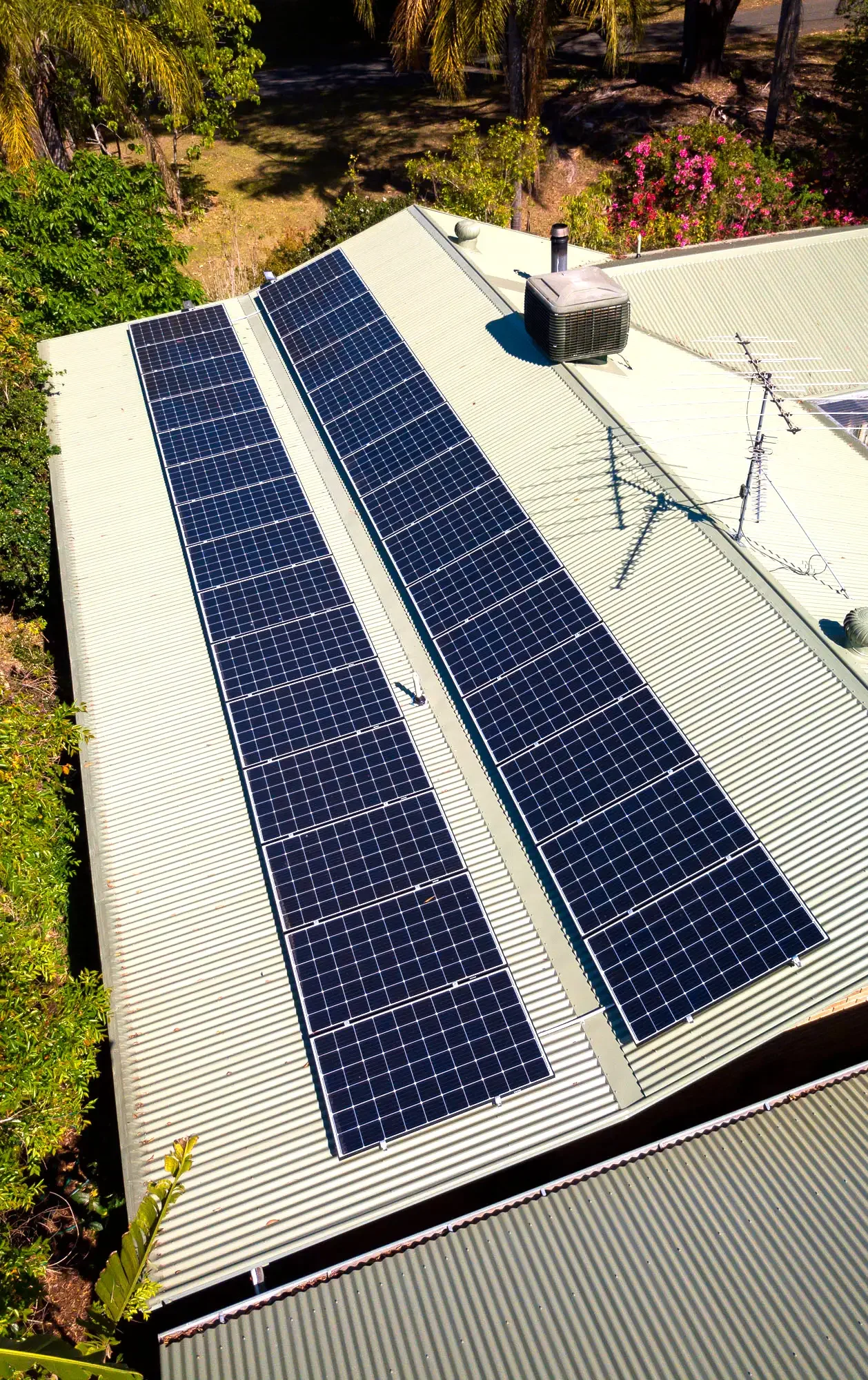 Solar panels installed on the roof of a building with trees and bushes in the background.