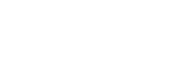 White logo for Ford, a major automotive manufacturer partnering with Link Influence.