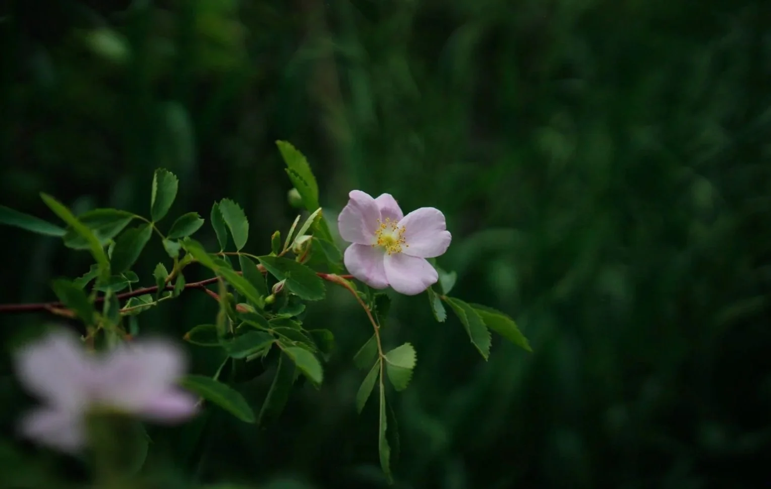 Screenshot 2025-11-04 at 10.42.43 AM.jpg