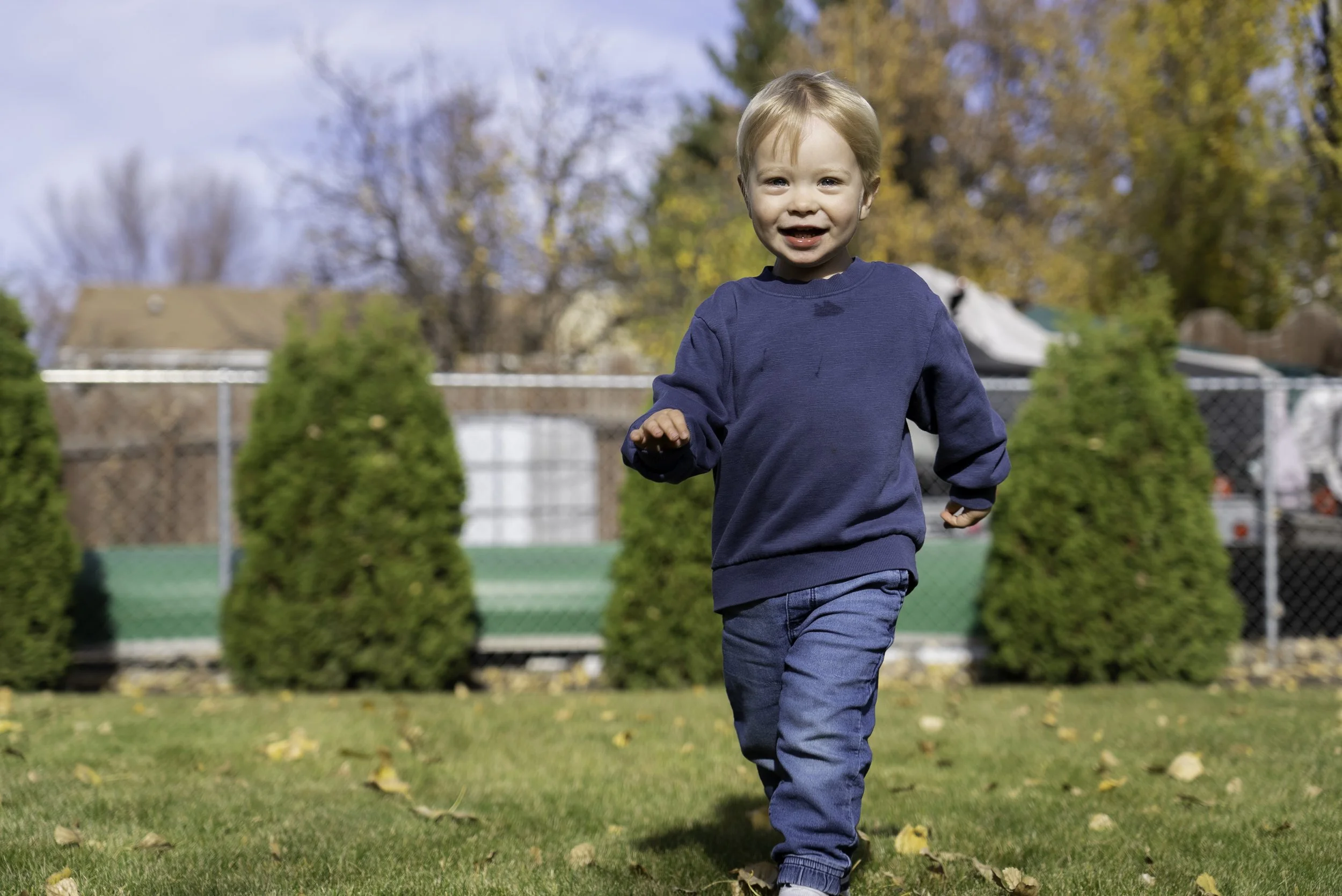 A young boy with blonde hair running on a grassy lawn, wearing a navy blue sweatshirt and jeans, with a background of trees with falling autumn leaves and a chain-link fence.