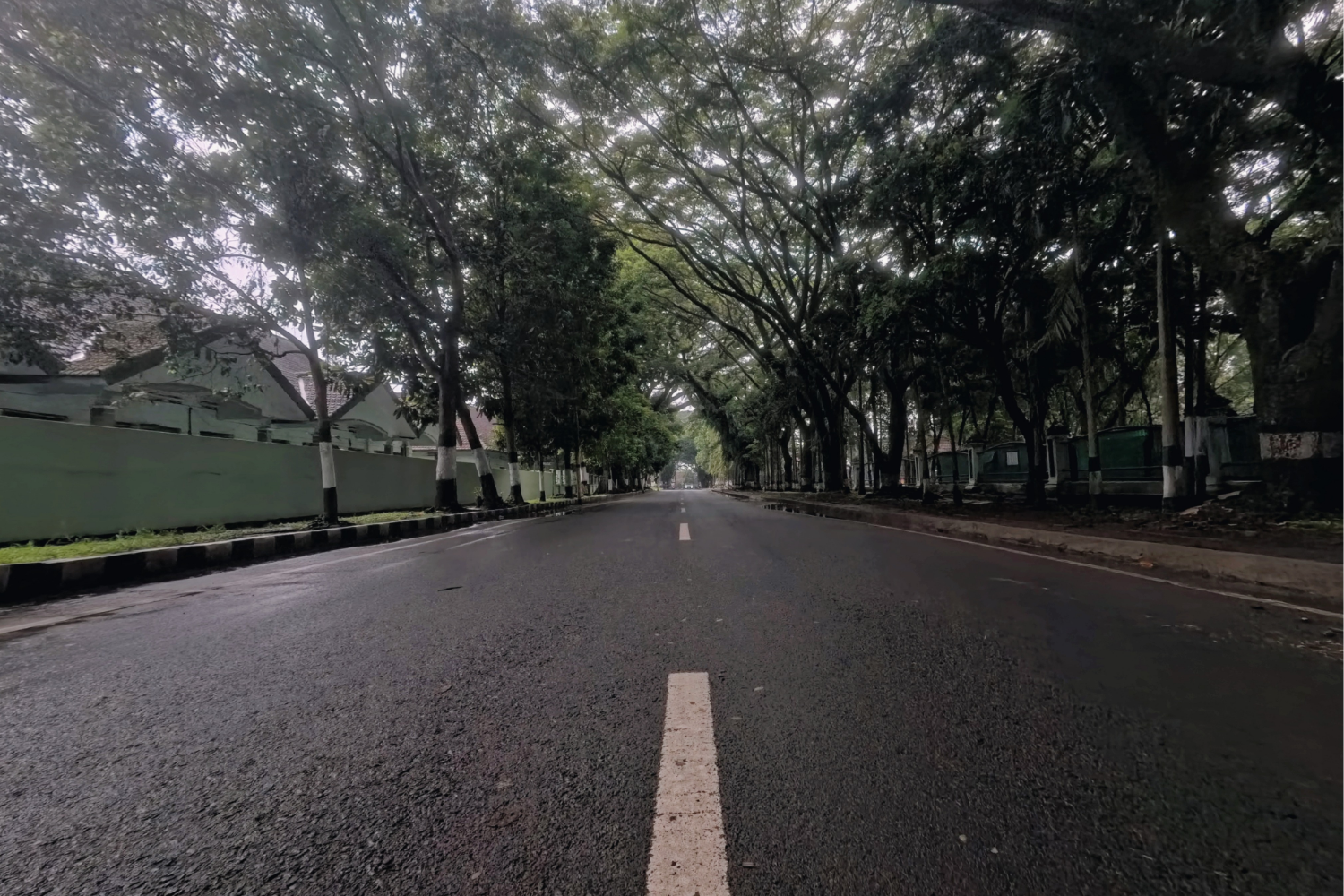 Essential Maintenance Tips for Your Michigan Driveway