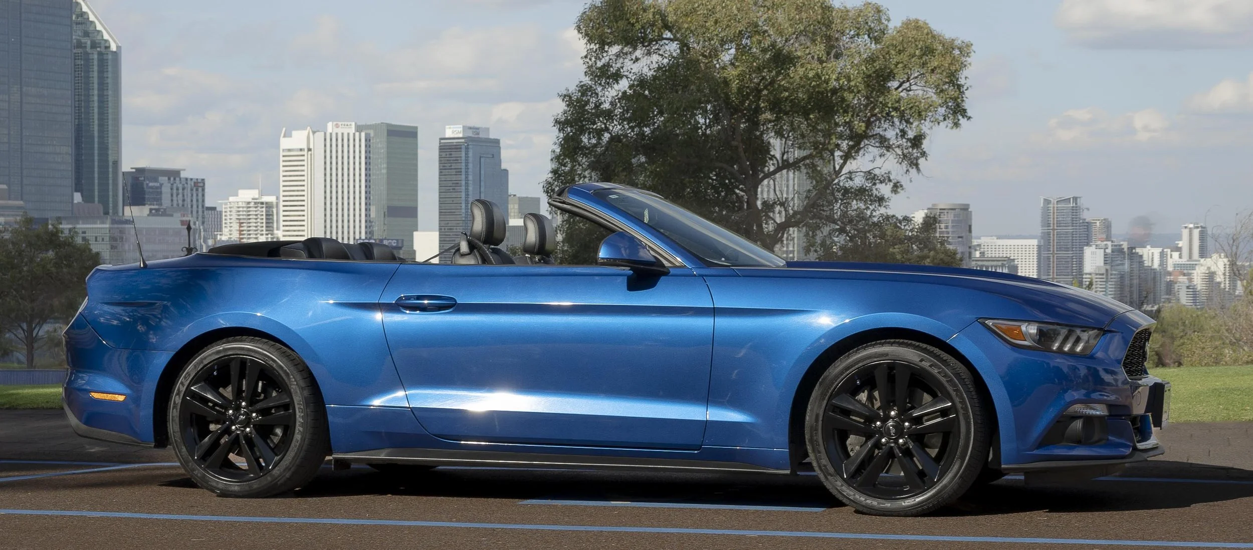 Mustang edit again-6.JPG