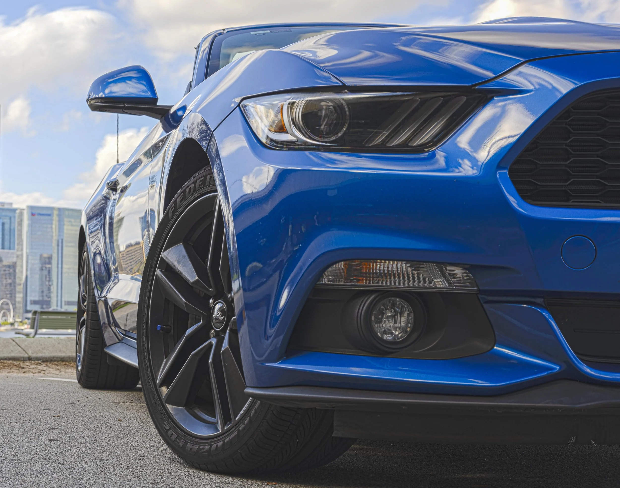 Mustang edit-3.JPG