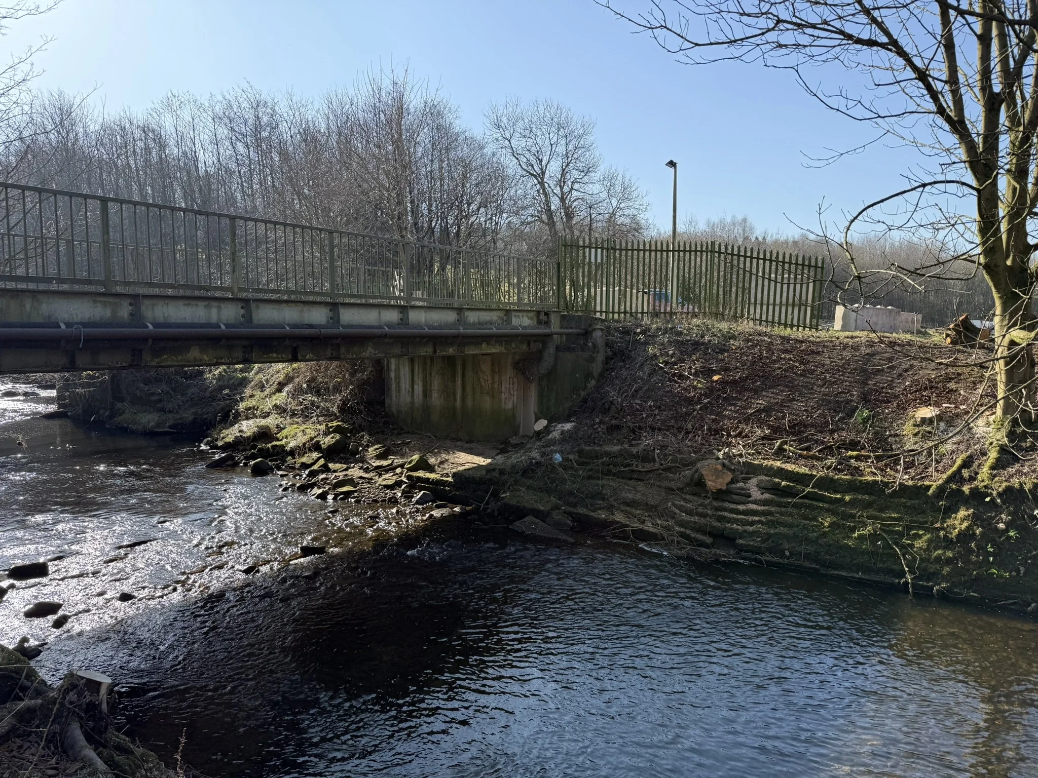 Cotton Tree Lane replacement