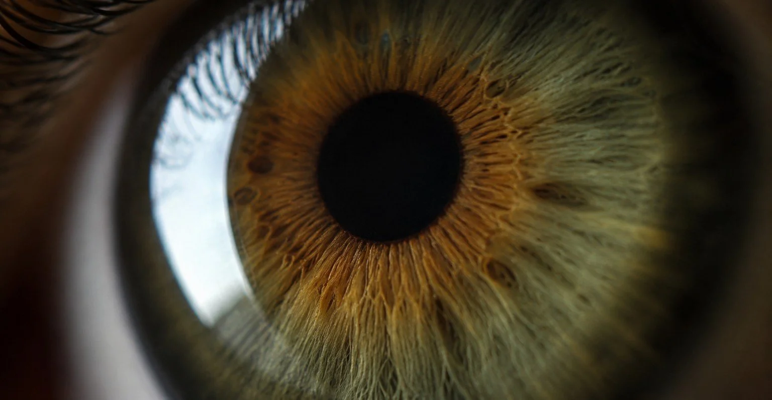 The Eye That Remembers: Could ER-100 Restore Lost Vision?