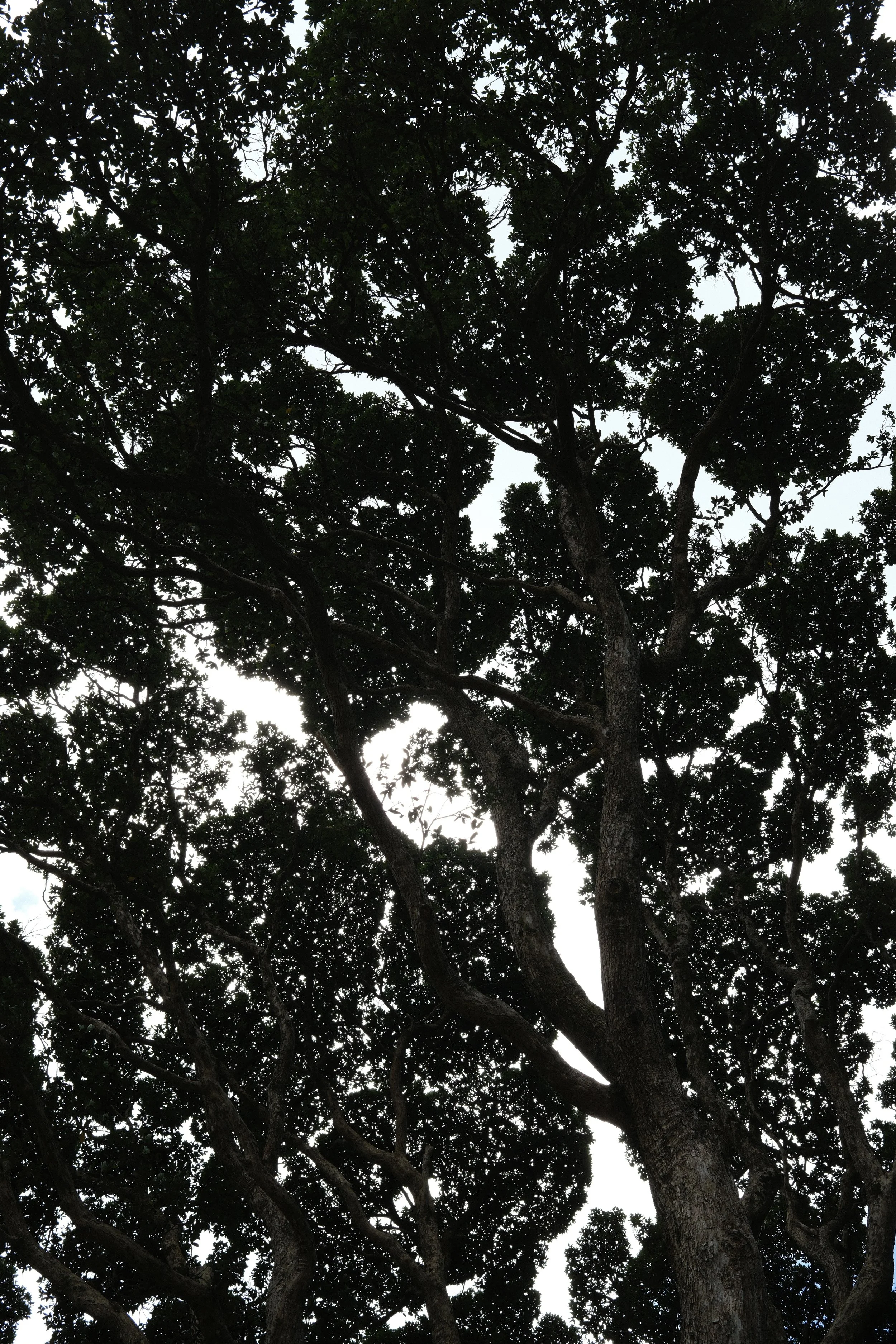 DSCF0026.jpg