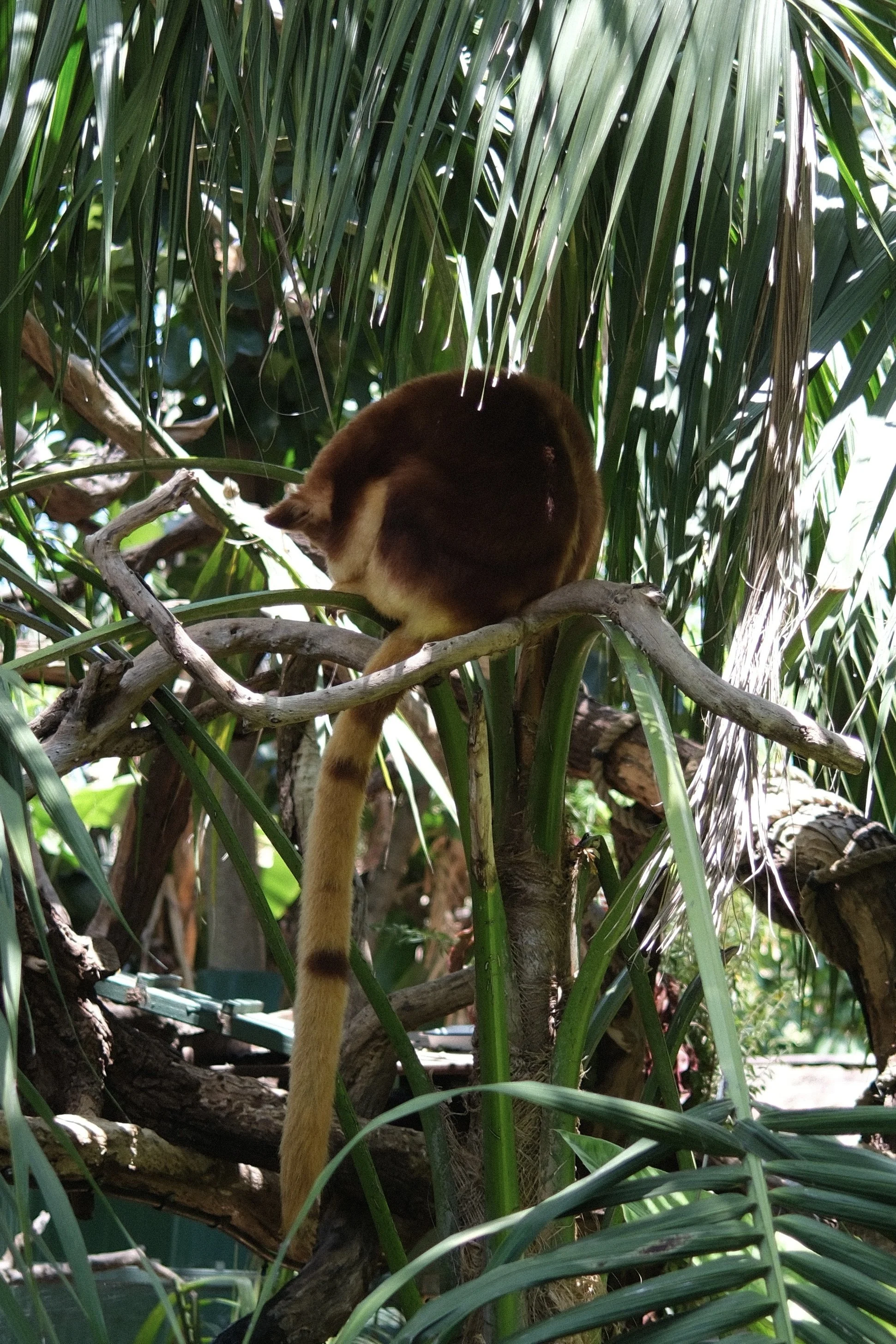 DSCF0958.jpg