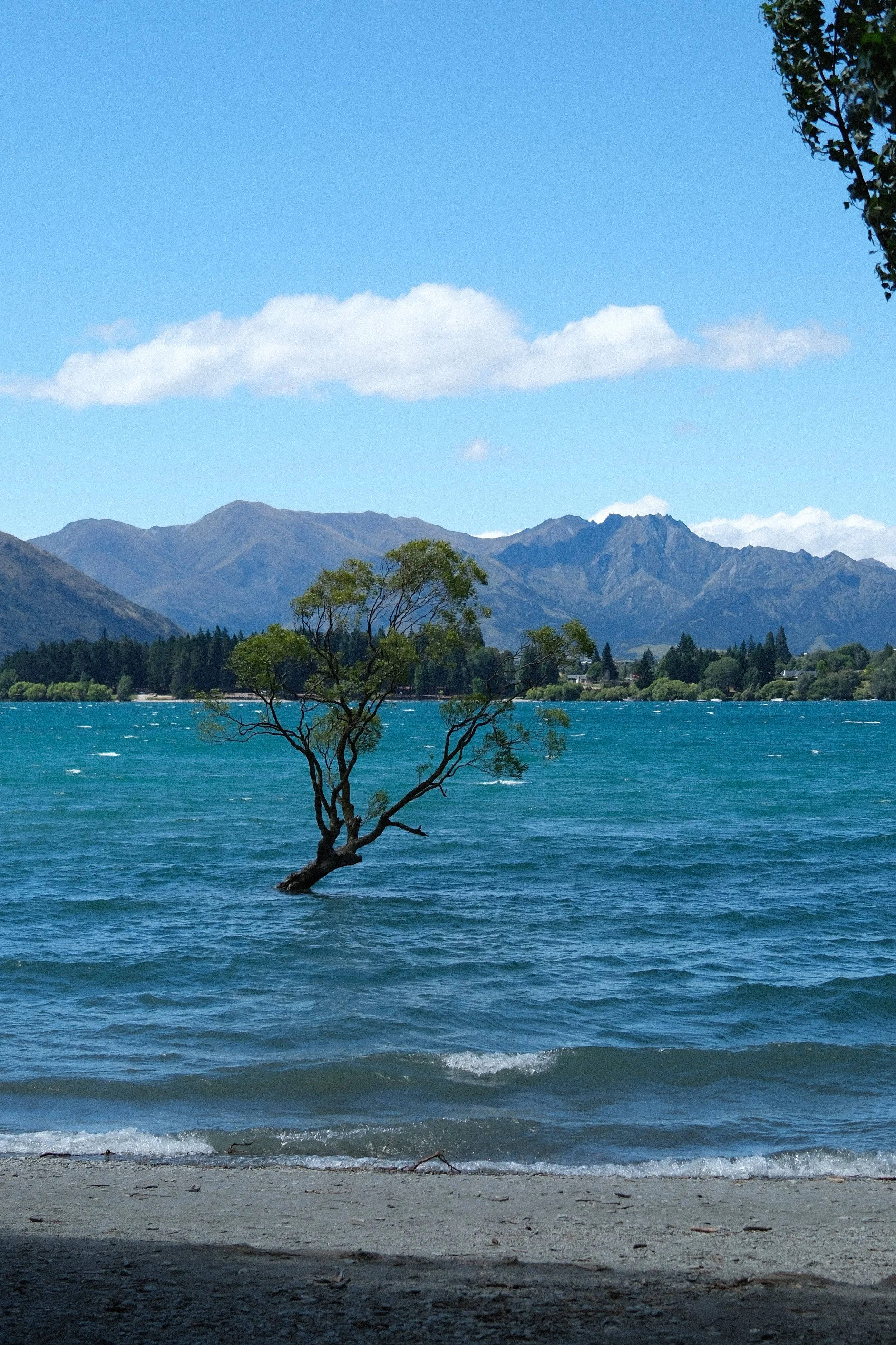 DSCF0445.JPG