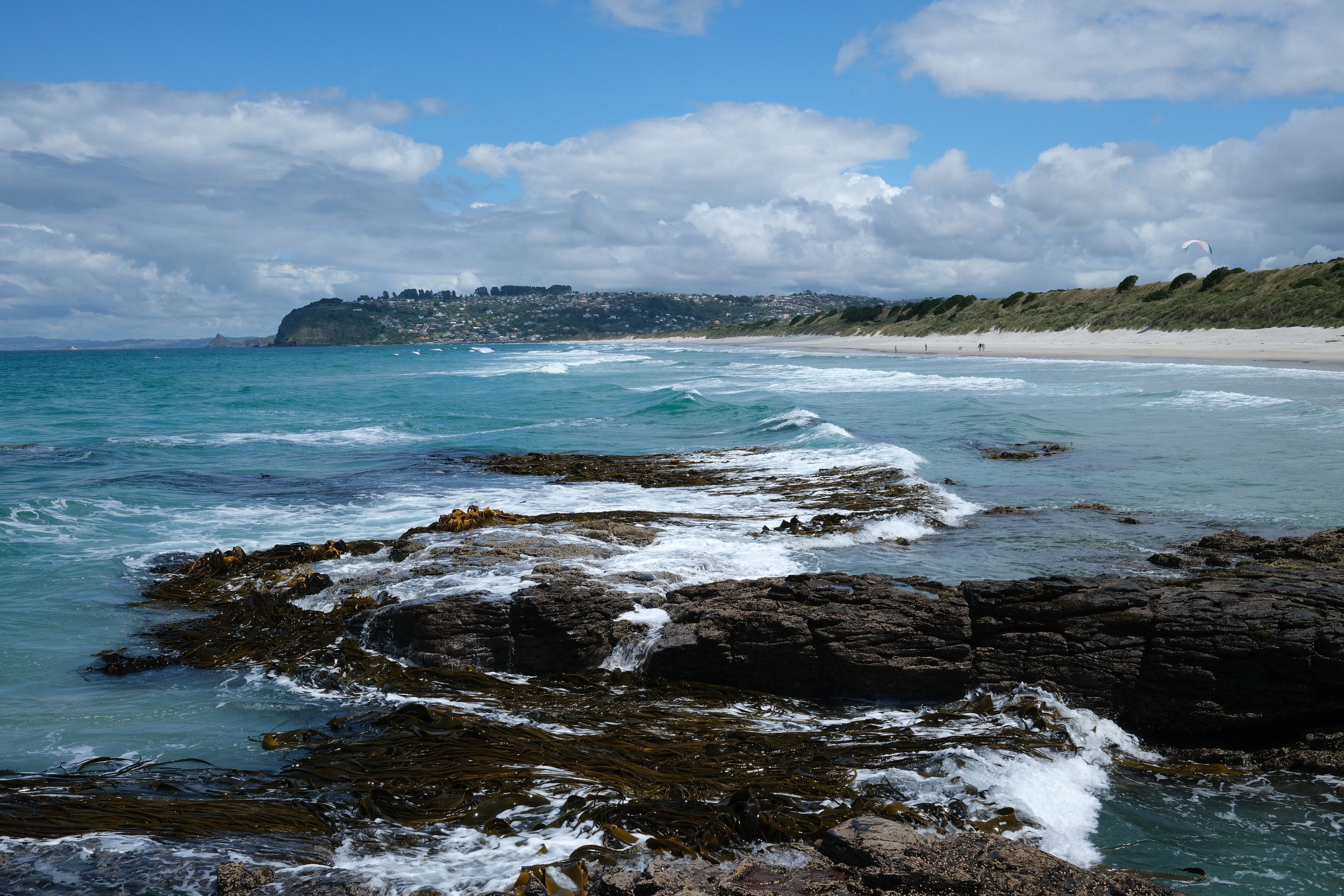 DSCF0588.jpg