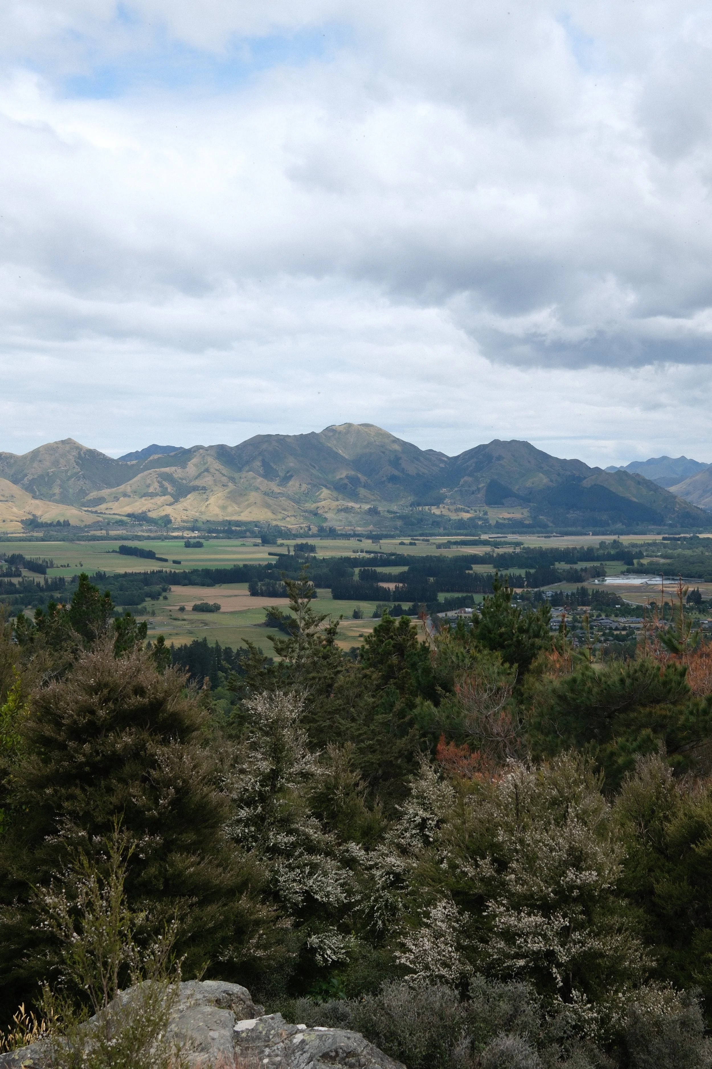 DSCF0214.JPG