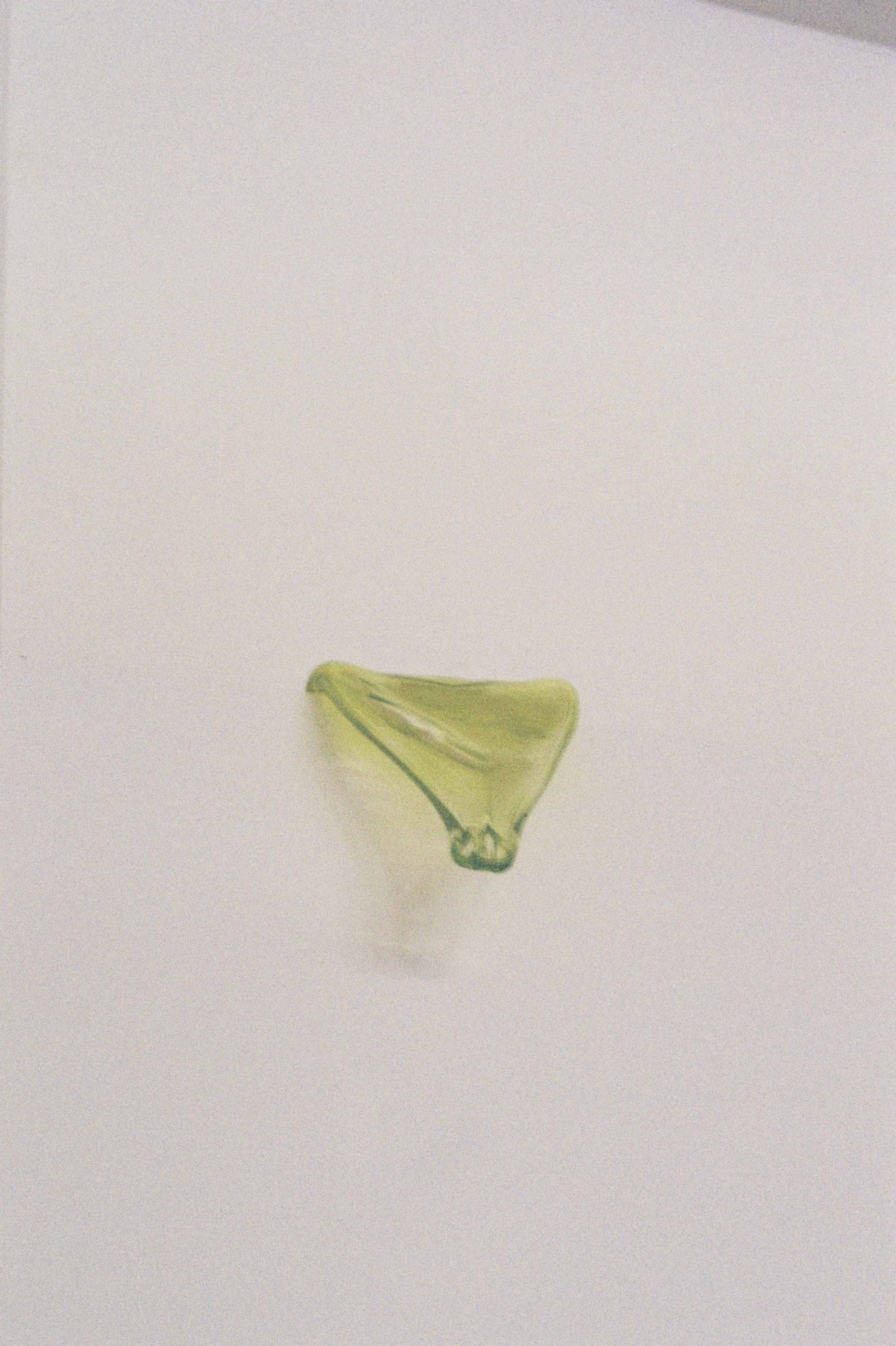 Film photo by Meg Kelso 