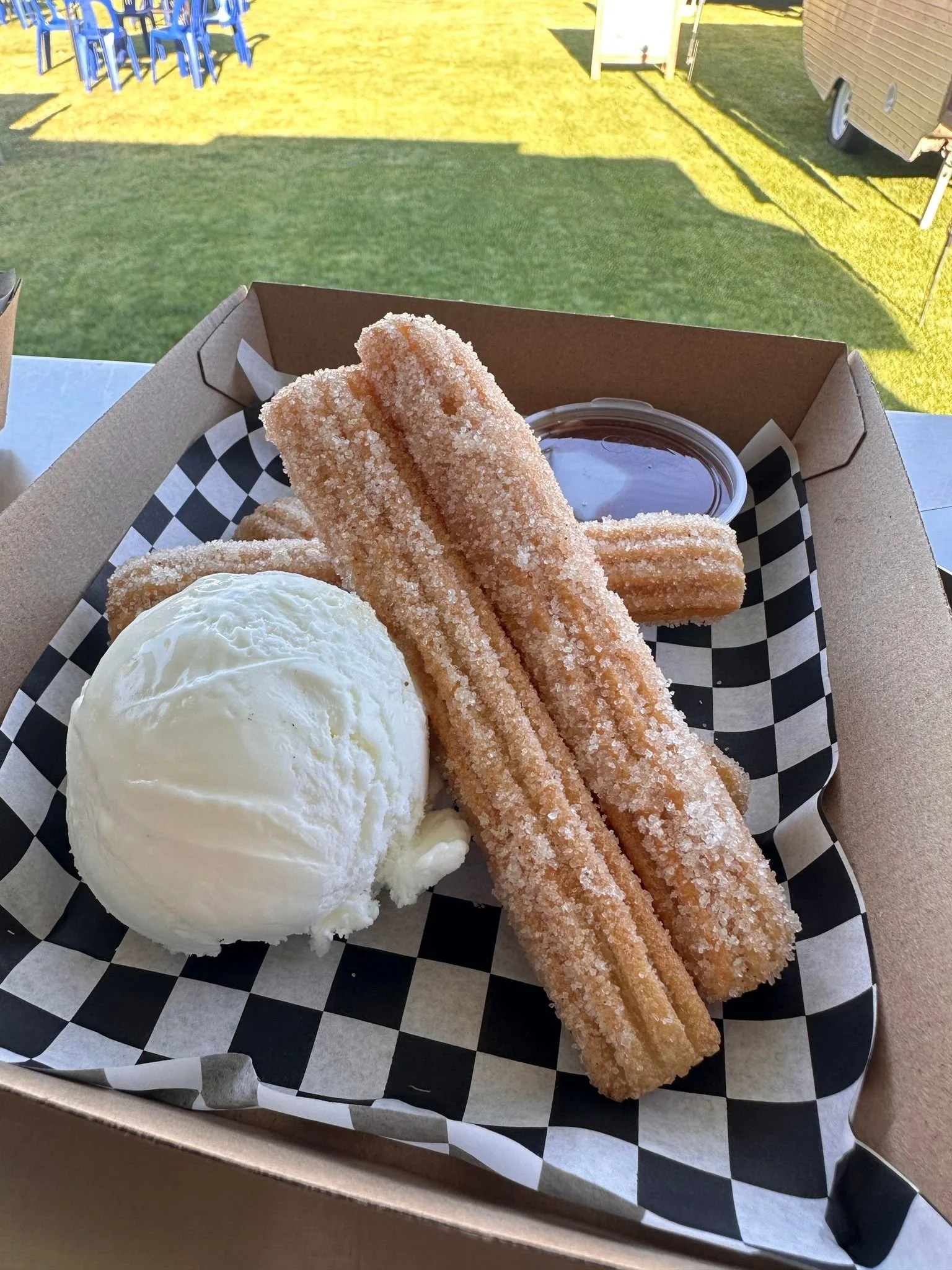 Churros with a scoop of vanilla ice cream and chocolate sauce in a cardboard tray on checkered paper with outdoor grass in the background.