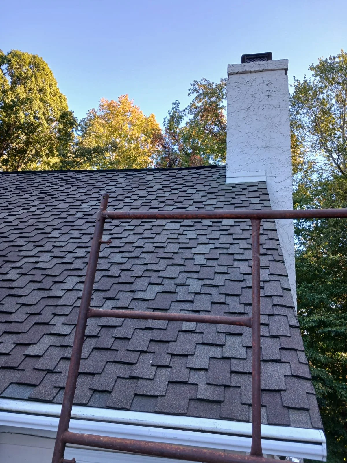 WhatsApp Image 2025-03-26 at 11.02.29 AM (7) (1).jpeg