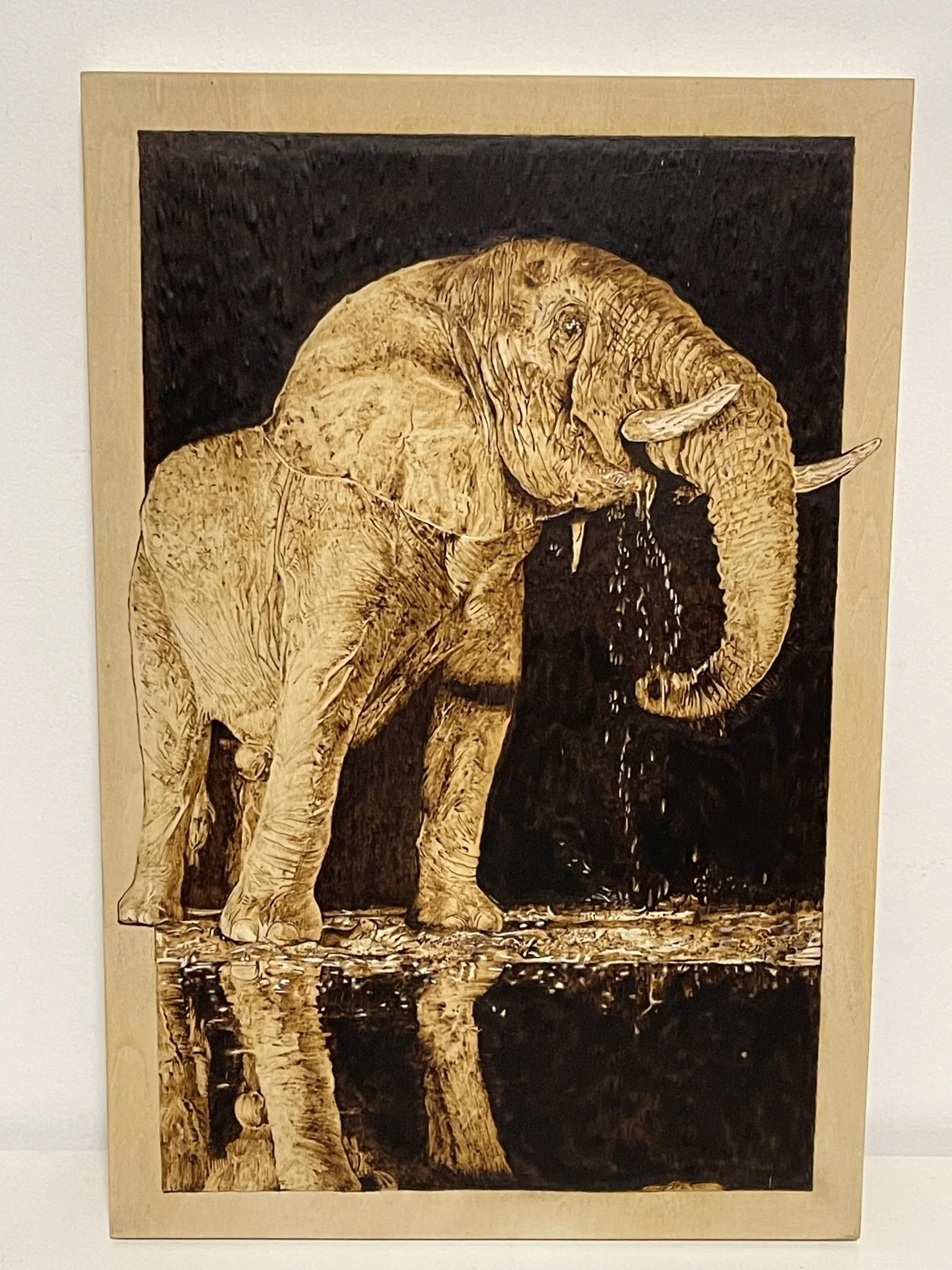 Elephant at Water