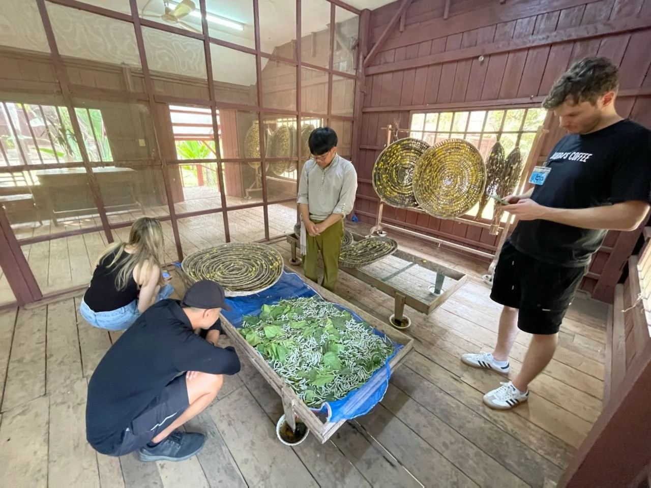 Angkor Silk Farm Tour