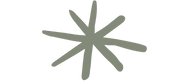 Gray abstract star shape or snowflake with eight arms
