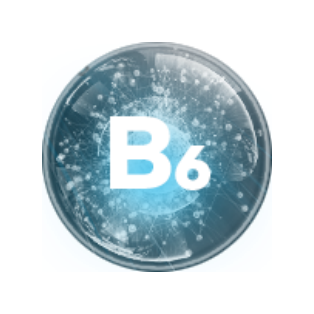 Vitamina B6