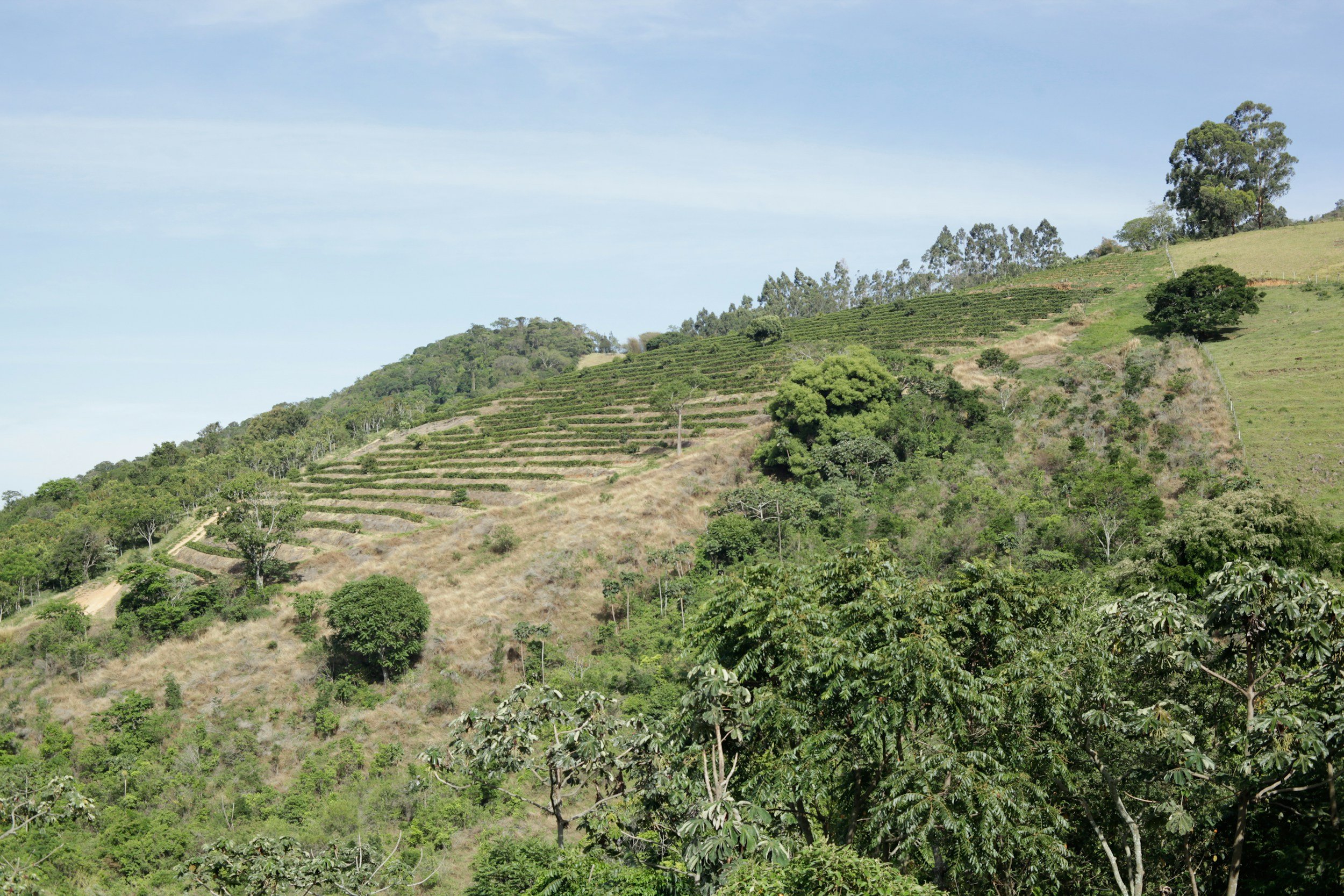 Hilly landscape with terraced farmland, green trees, and a partly cloudy sky.