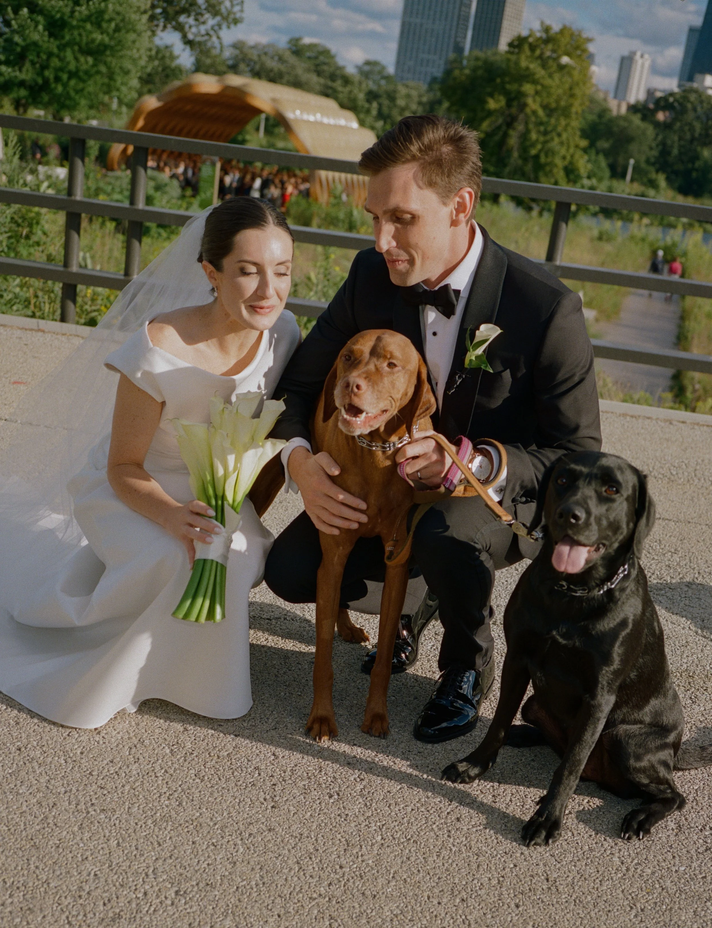 Cafe Brauer wedding with dogs