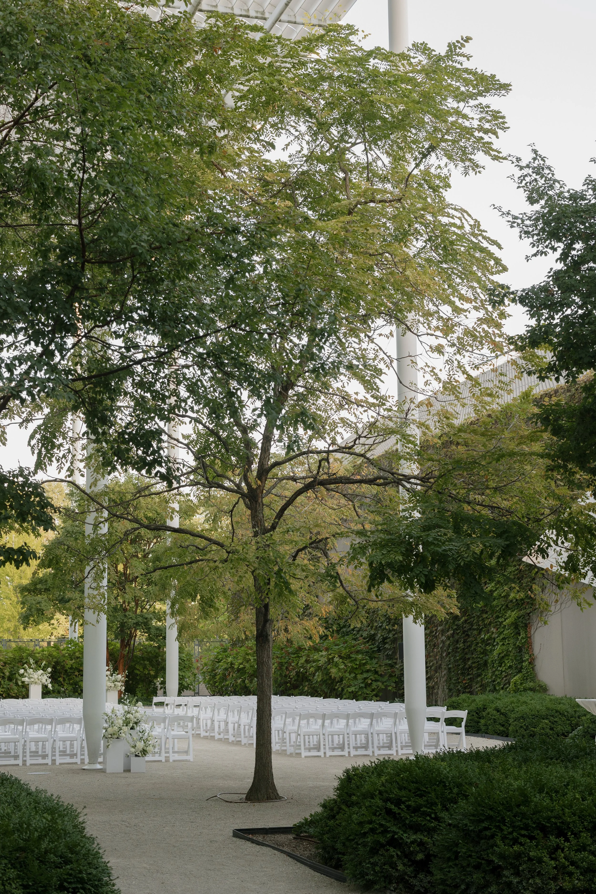 serralukewed-447 copy.jpg