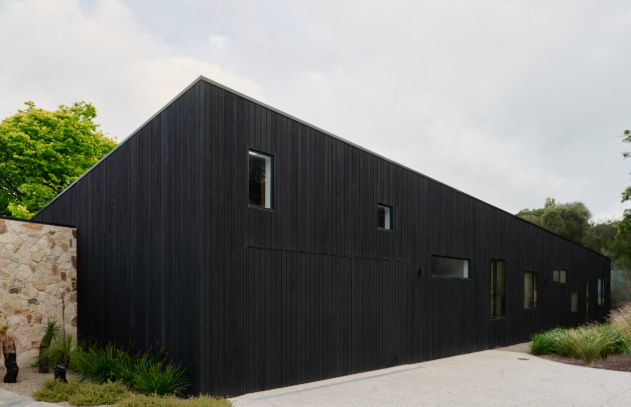 Japanese Timber Sugi