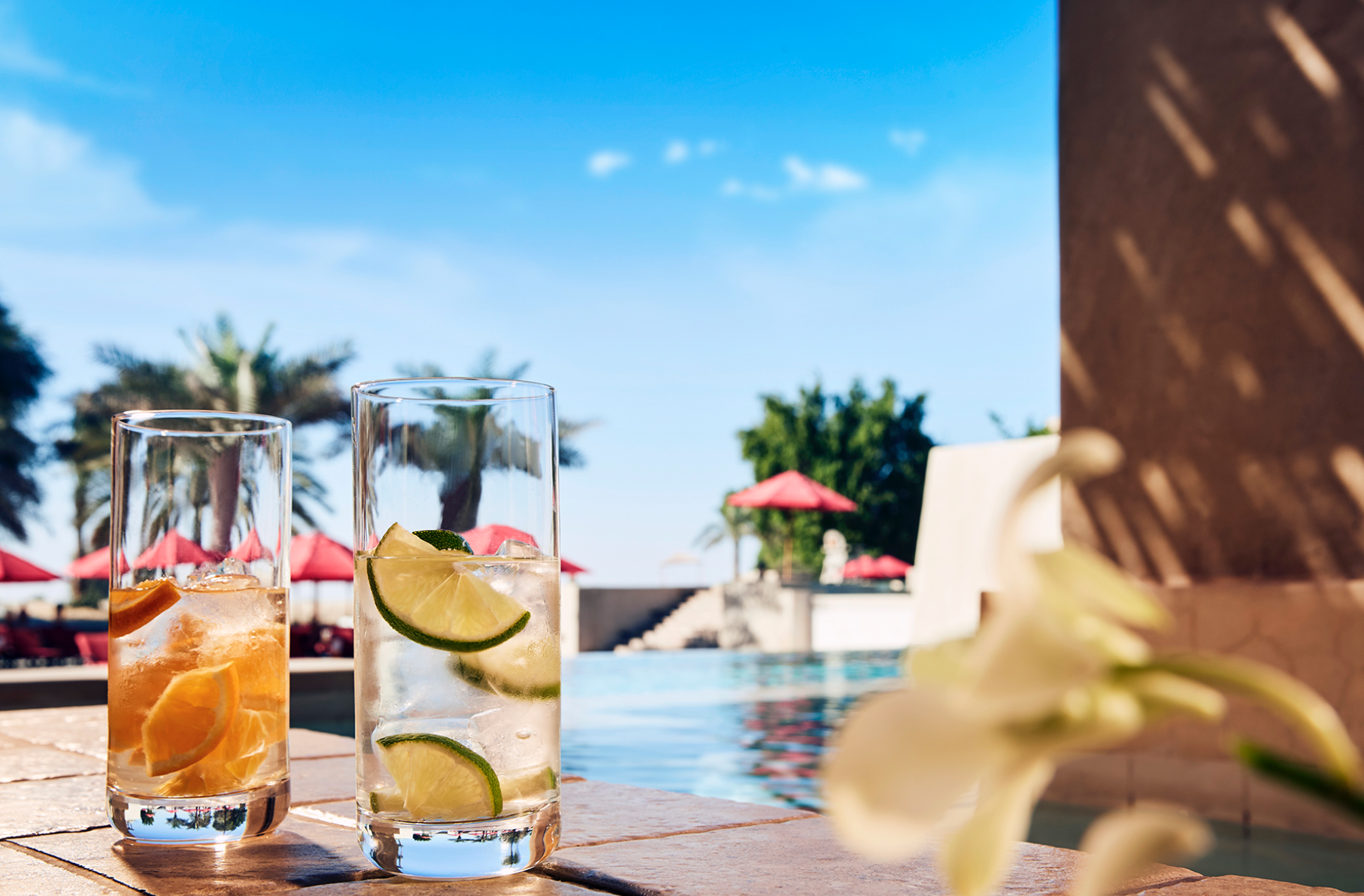 Screen Shot 2018-03-07 at 8.18.04 PM.png