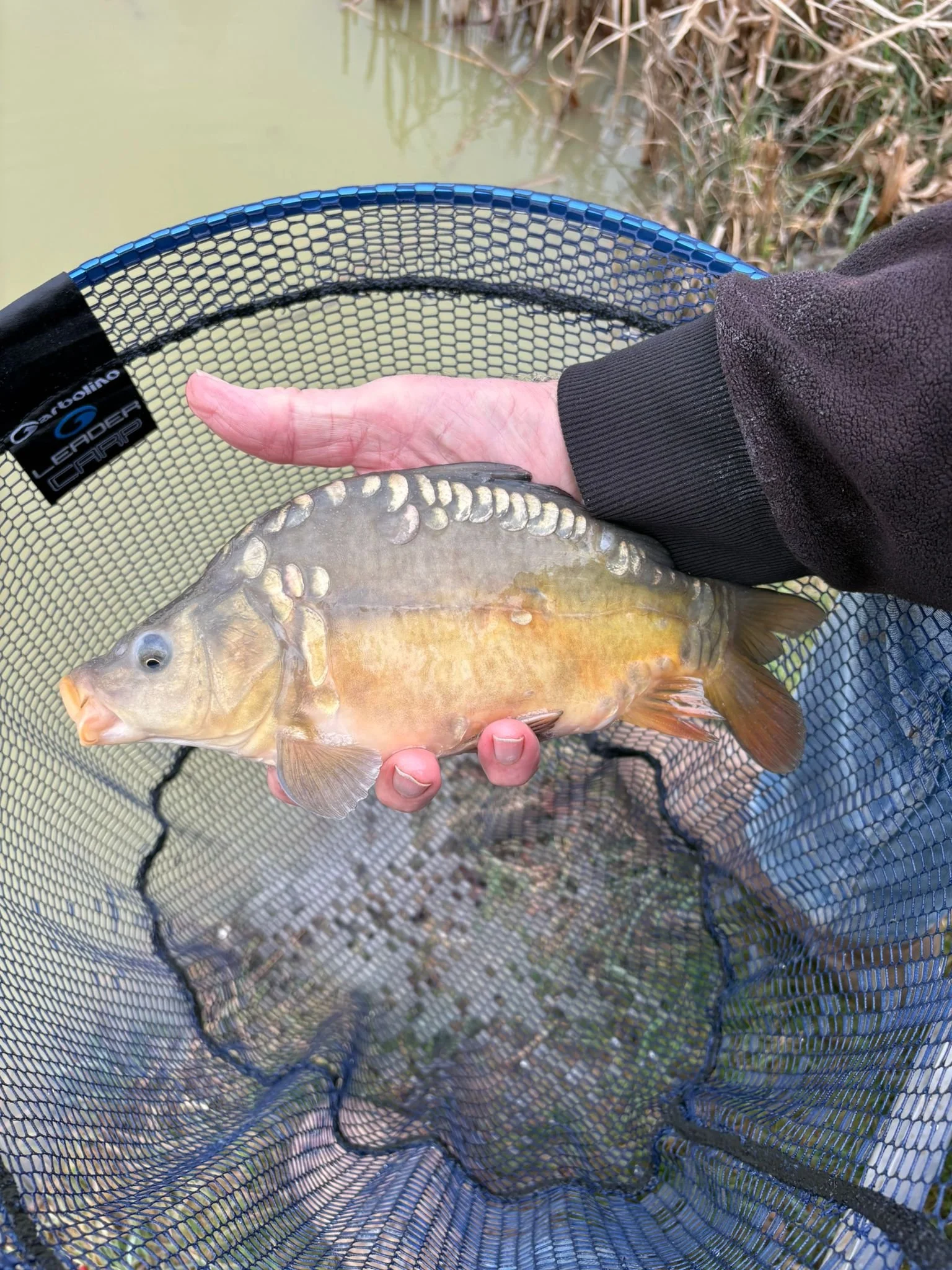 A person holding a fish in a net by a body of water, with dried grass in the background.