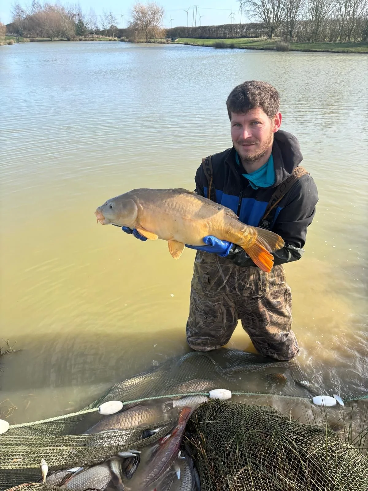 A man kneeling in shallow water holding a large orange and cream-colored fish. There are a few more fish in a net on the ground and a fishing rod on the water. The background shows a wide body of water, trees, and wind turbines under a cloudy sky.