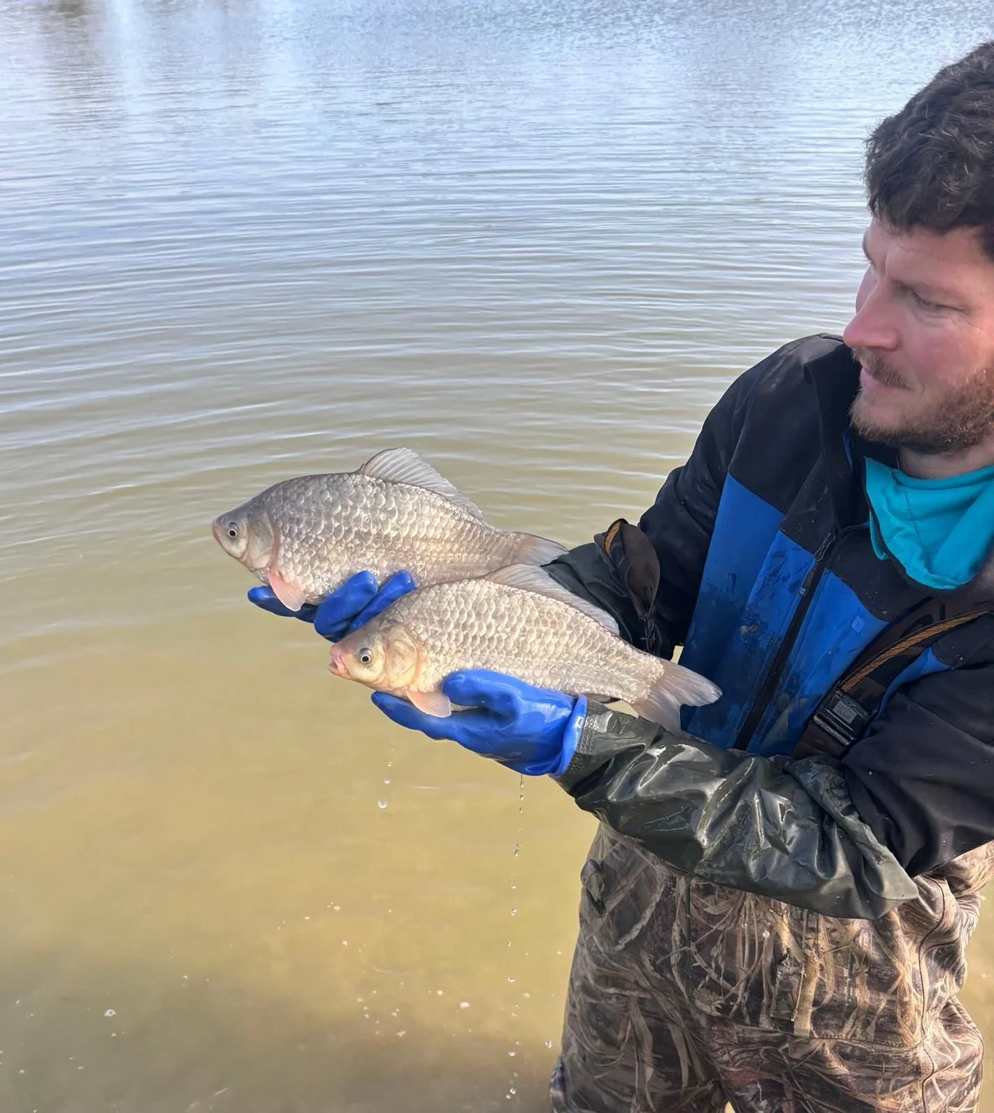 A man wearing camouflage pants, a black jacket, and blue gloves holding two fish near a body of water, with water and a cloudy sky in the background.