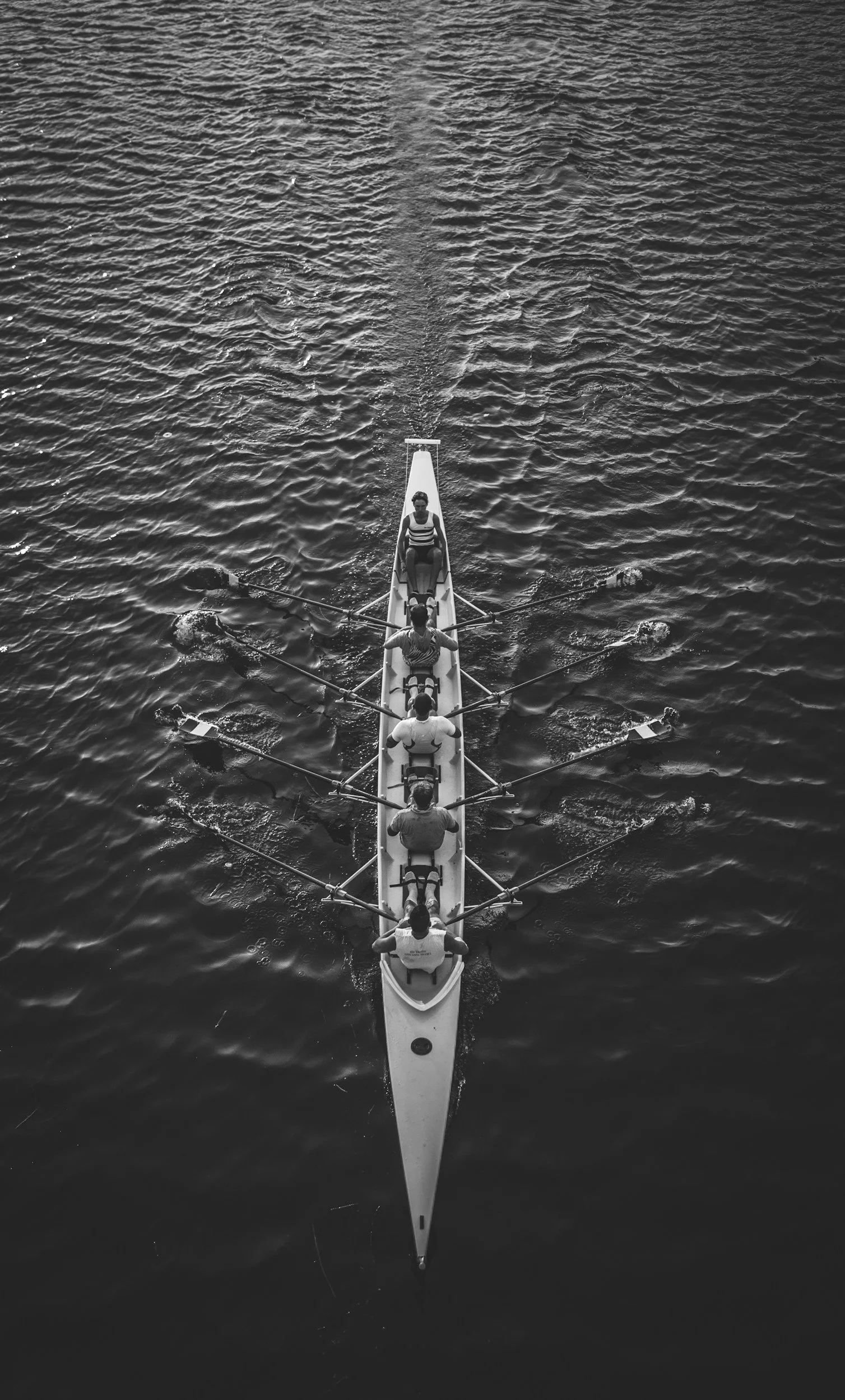 Top-down black and white photo of a rowing team in a boat on the water.