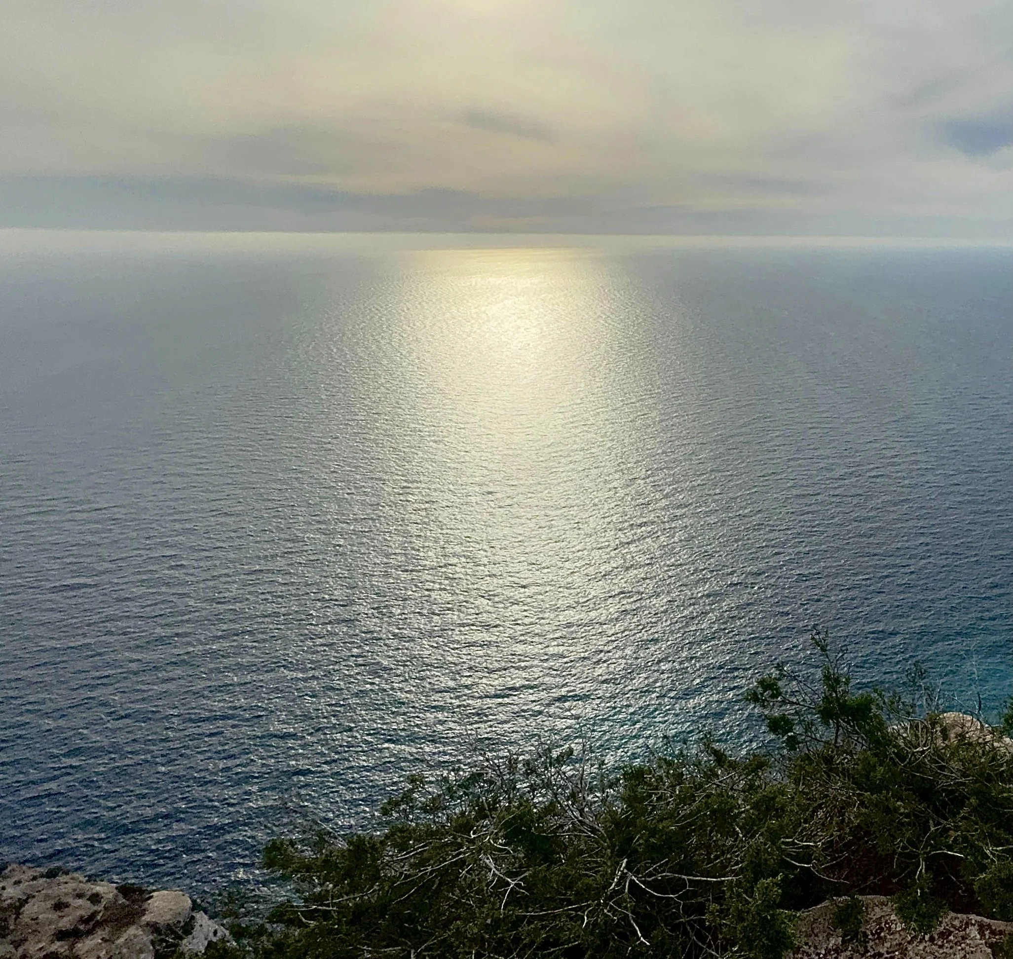 A view of a calm ocean with sunlight reflecting off the surface, and some shrubbery and rocks in the foreground.