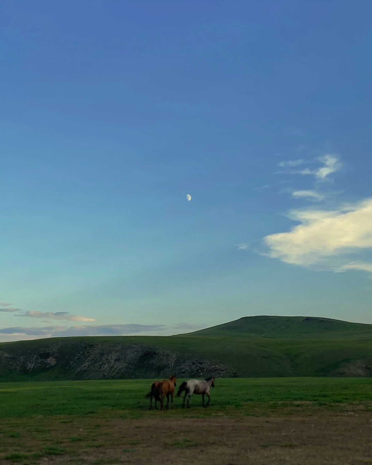 A scenic landscape with rolling green hills and a clear blue sky. Three horses are grazing on grass in the foreground, and the moon is visible in the sky.