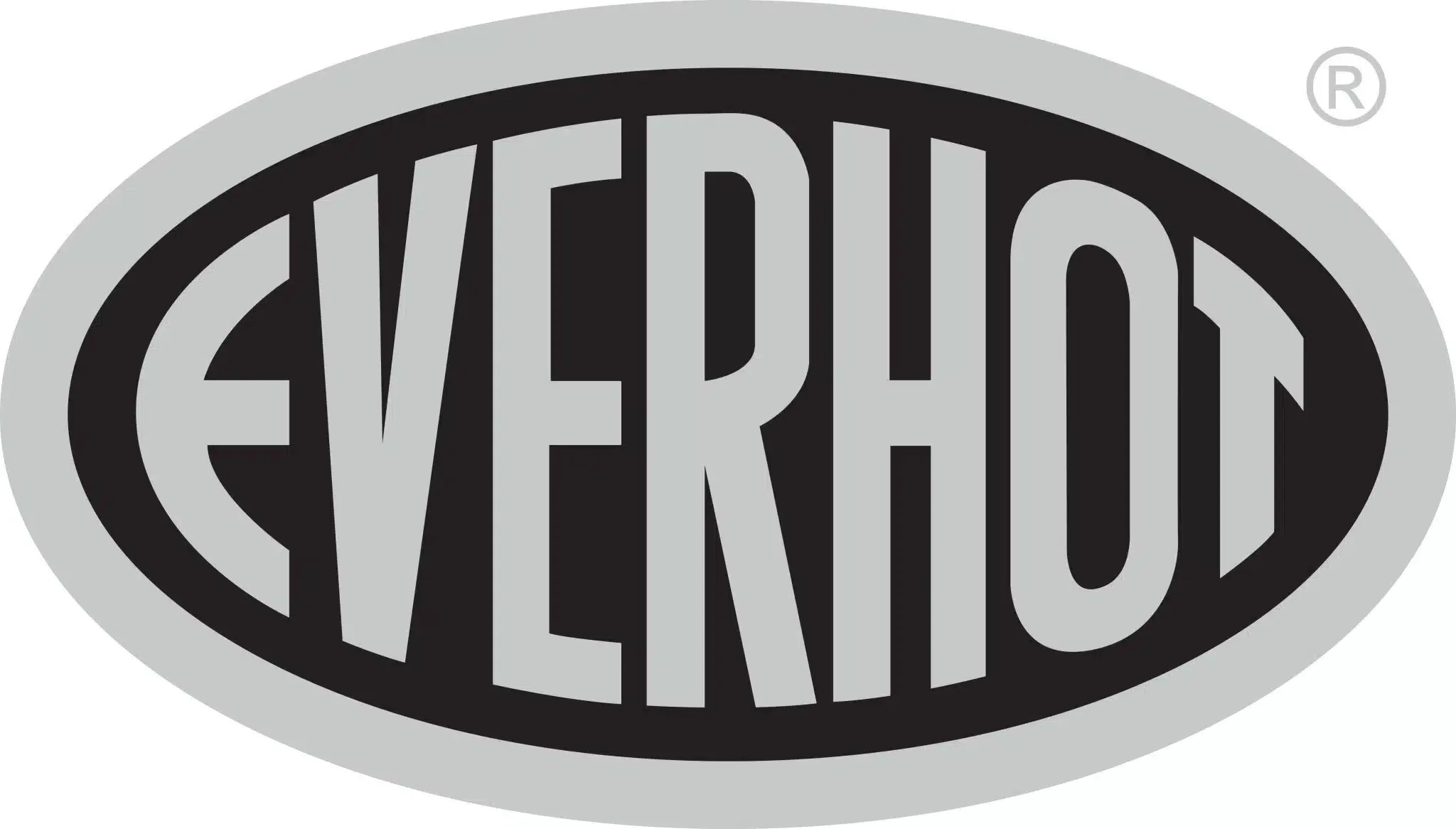 Everlast logo in black, gray, and white colors.